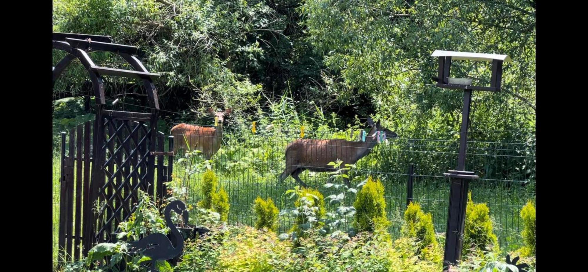 Privat Forest Liptovsky Mikulas Luaran gambar